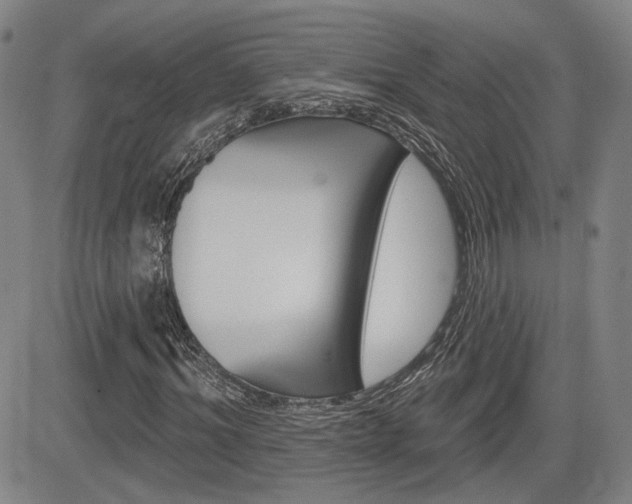 X0000085060964200703051028