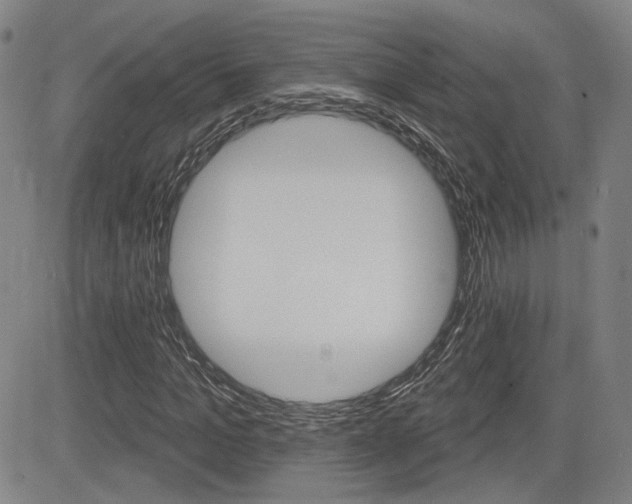 X0000085060965200703051028