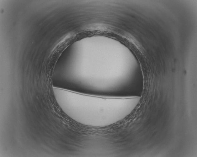 X0000085060967200703051028