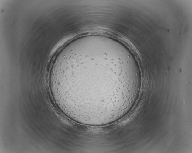 X0000085060978200703051028