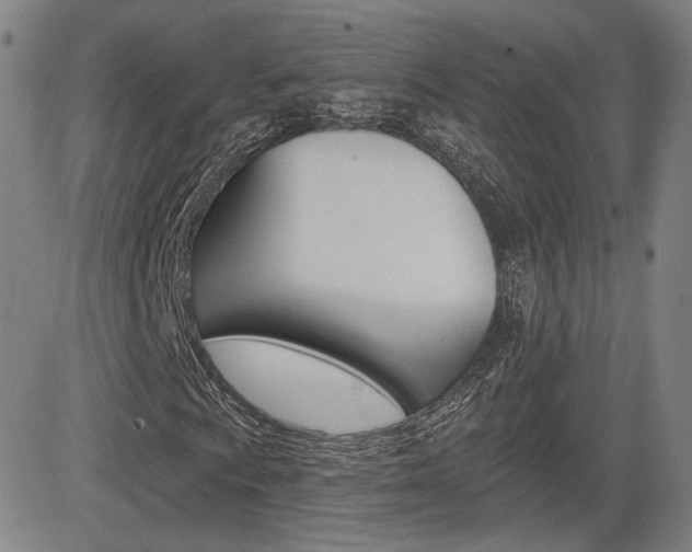X0000085061009200703051027