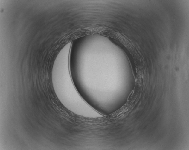 X0000085061010200703051027