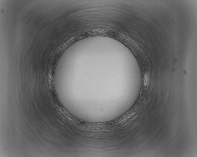 X0000085061011200703051027