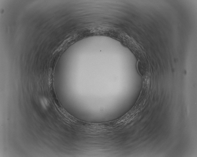 X0000085061012200703051027