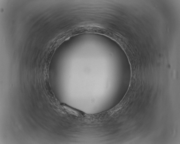 X0000085061014200703051027