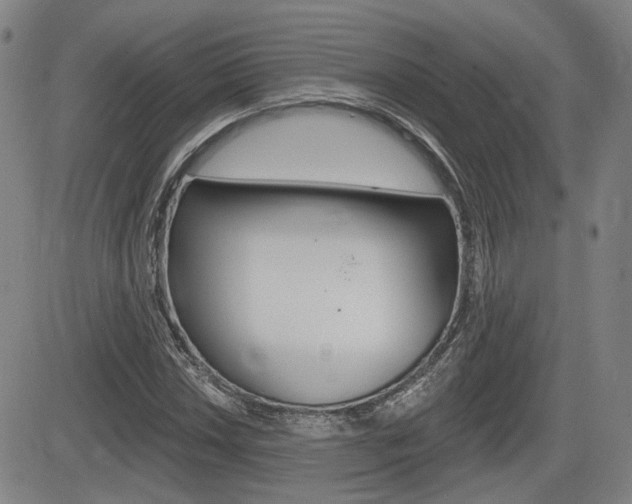 X0000085061018200703051027