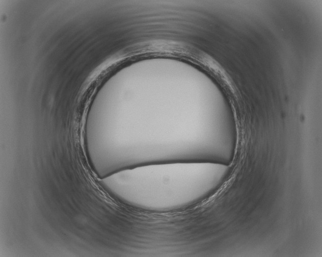 X0000085061019200703051027