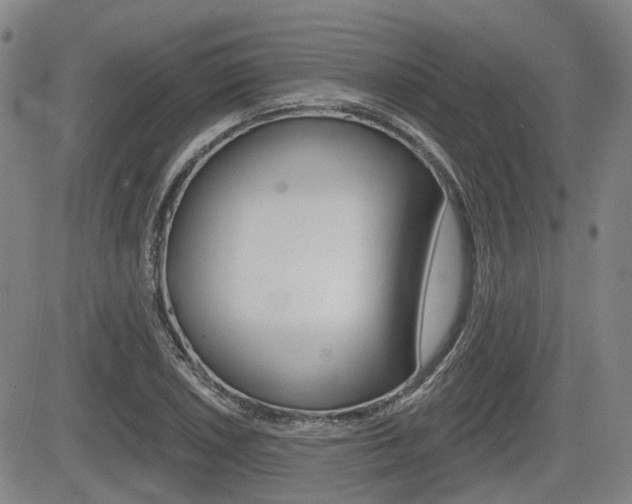 X0000085061026200703051027