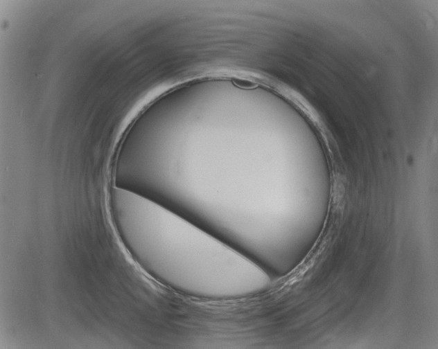 X0000085061048200703051027