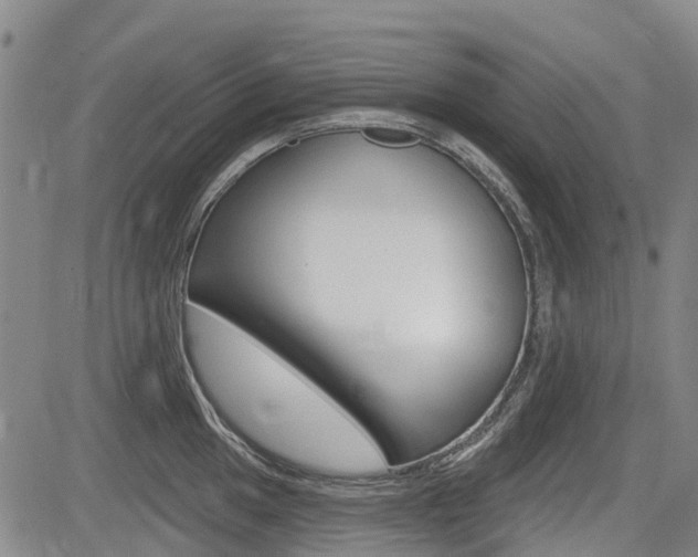 X0000085061049200703051027