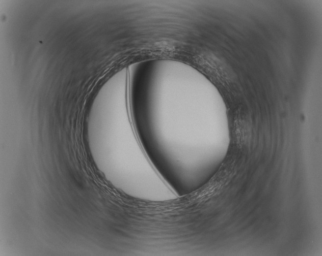 X0000085061057200703051027