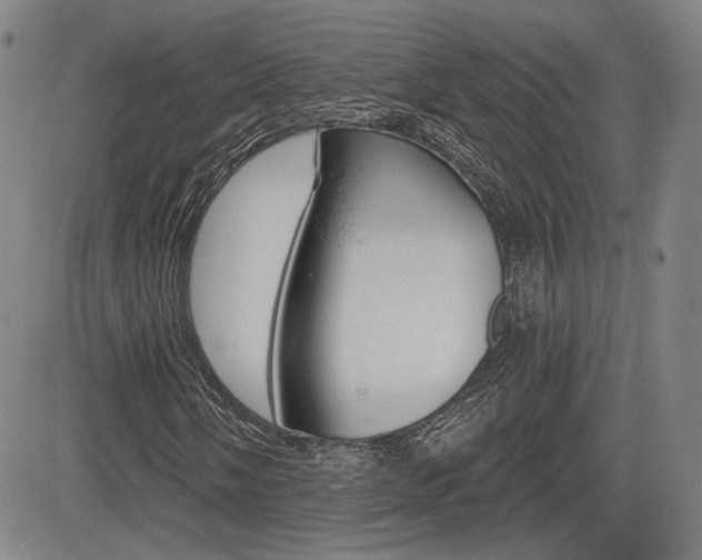 X0000085061058200703051027