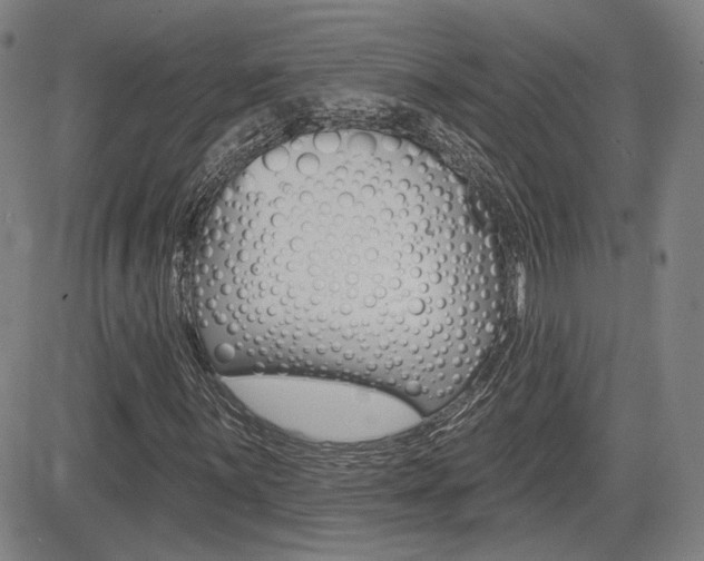 X0000085061059200703051027