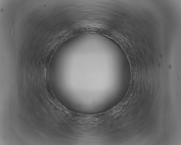 X0000085061061200703051027