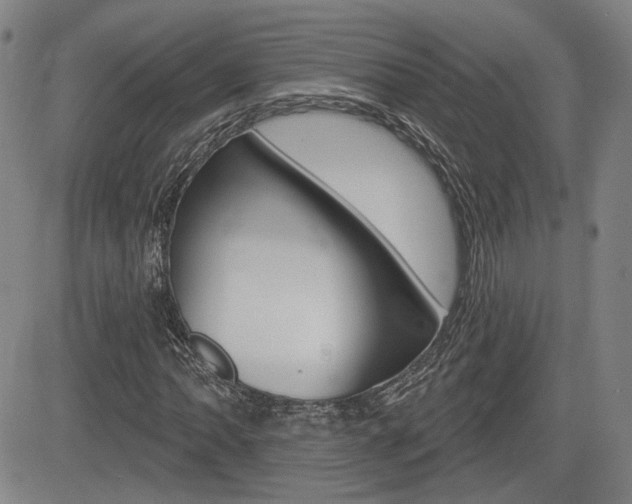 X0000085061062200703051026
