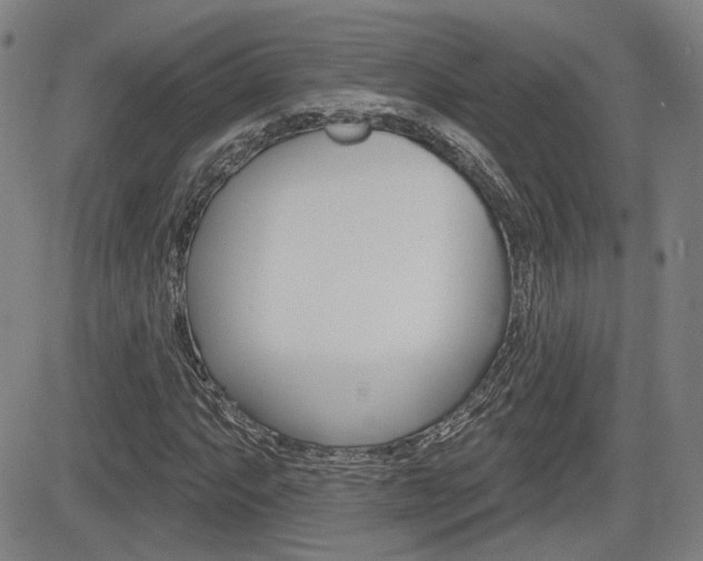X0000085061063200703051026
