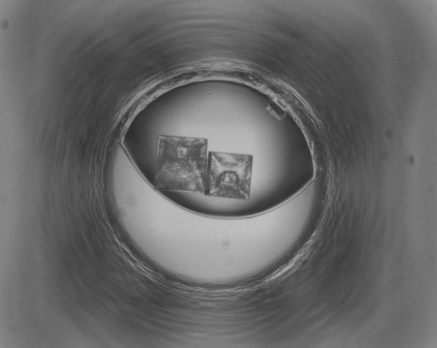 X0000085061065200703051026
