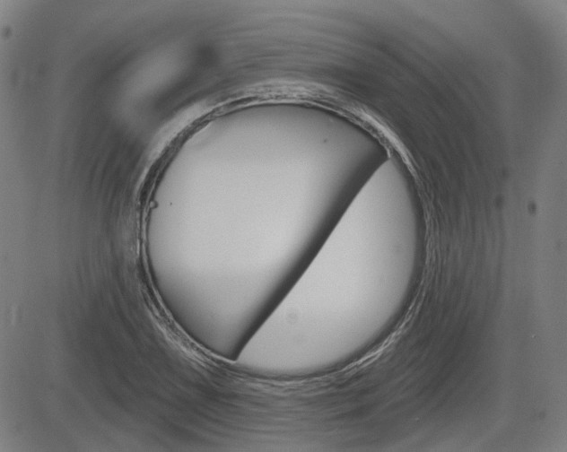 X0000085061075200703051026