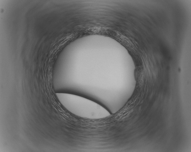 X0000085061105200703051025