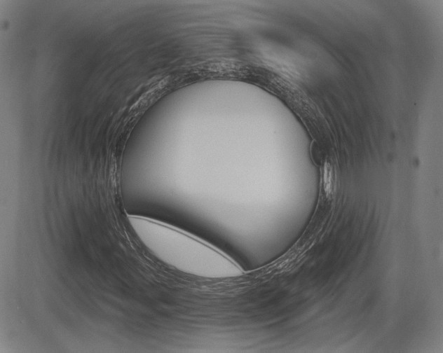 X0000085061107200703051025