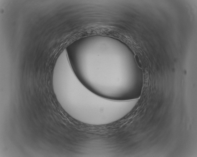 X0000085061109200703051025