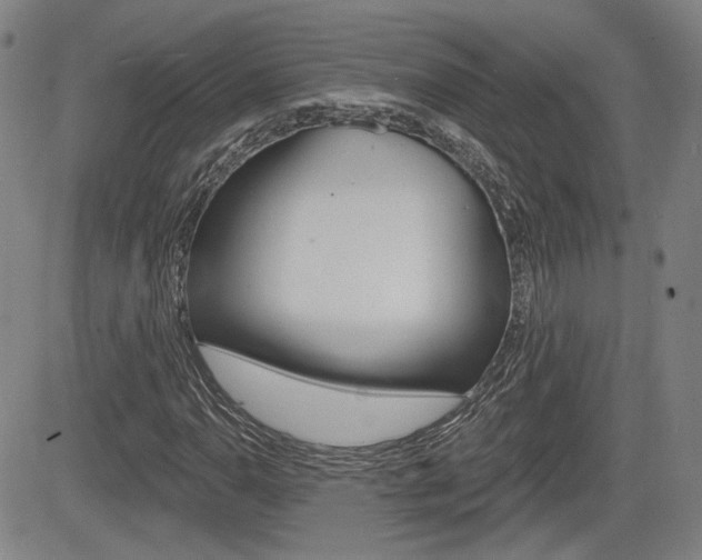 X0000085061110200703051025