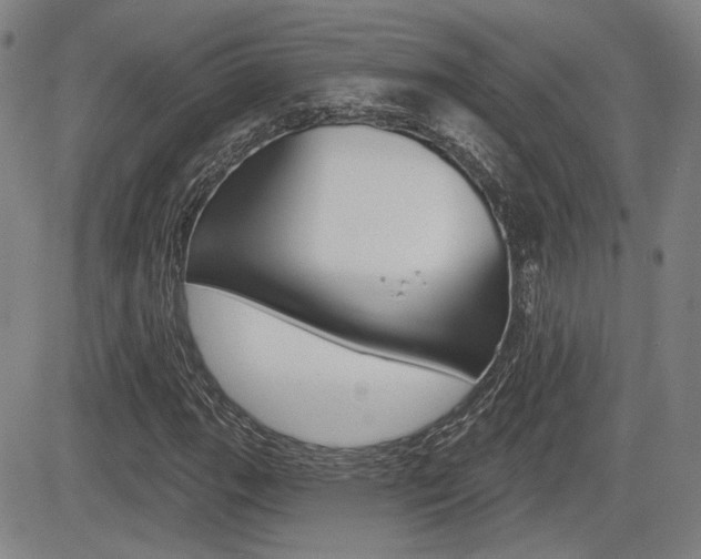 X0000085061111200703051025