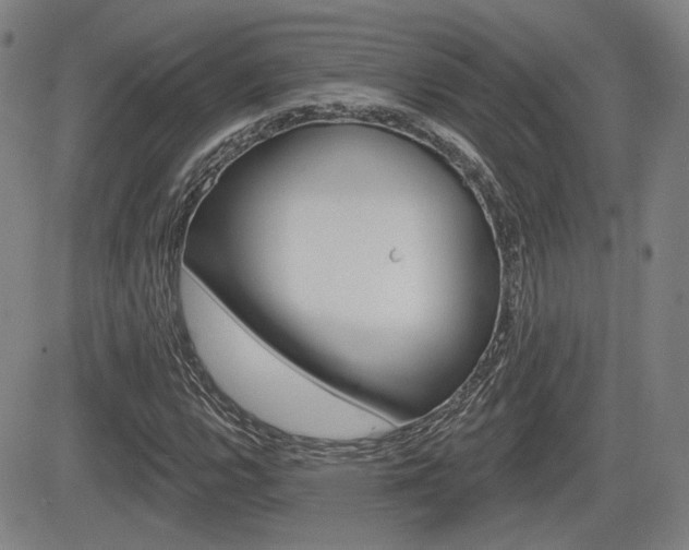 X0000085061112200703051025