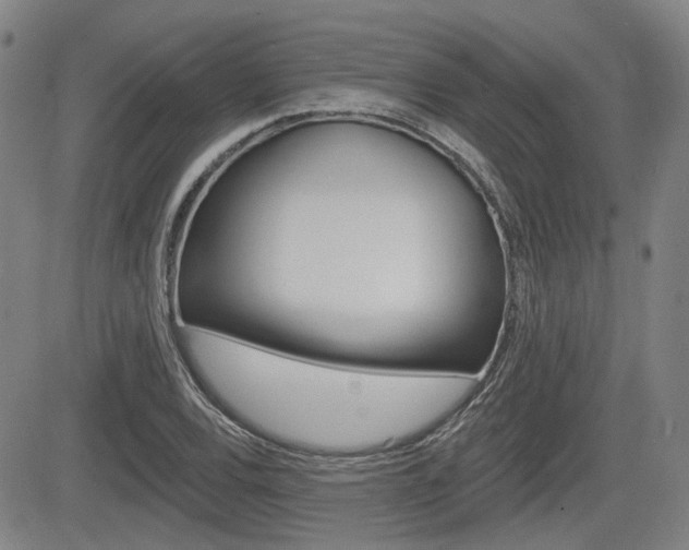 X0000085061120200703051025