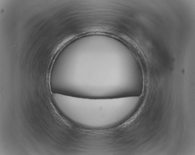 X0000085061121200703051025