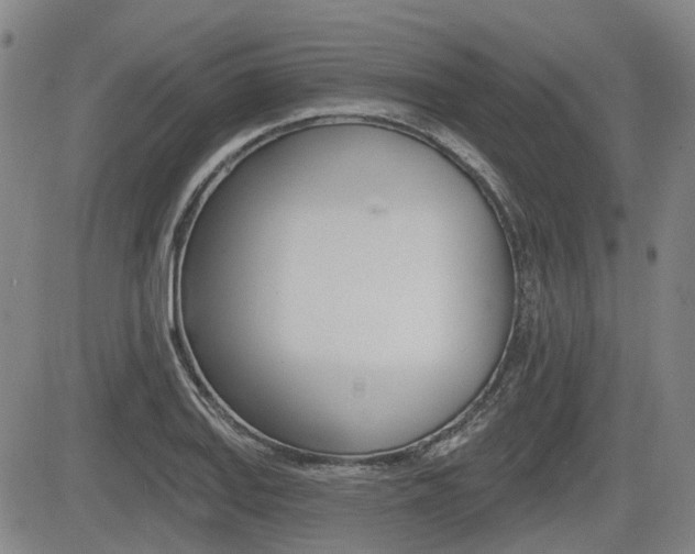 X0000085061127200703051025