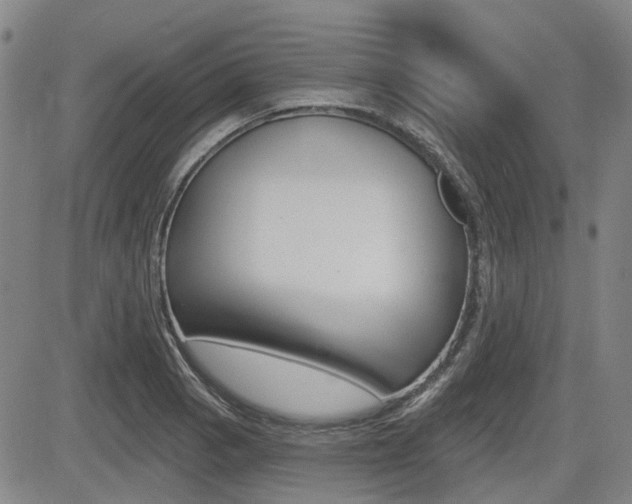 X0000085061129200703051025