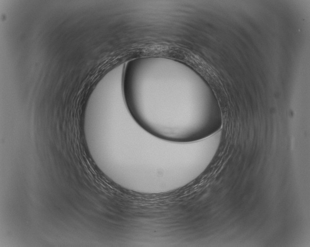X0000085061153200703051025