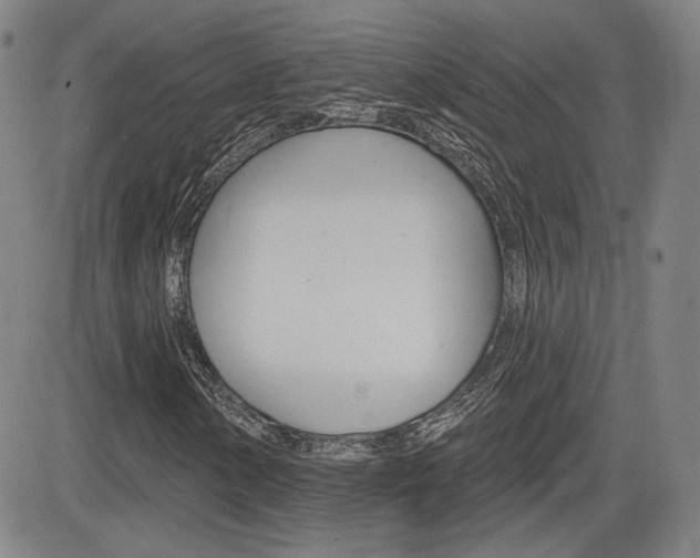 X0000085061154200703051025