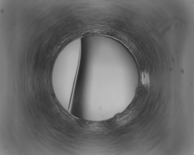 X0000085061155200703051025