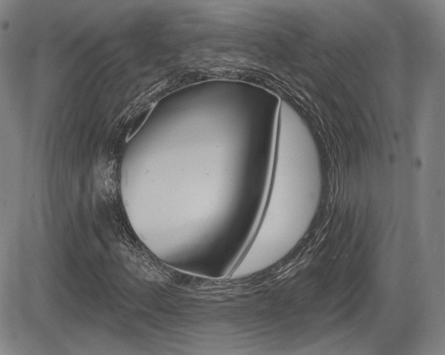 X0000085061156200703051025