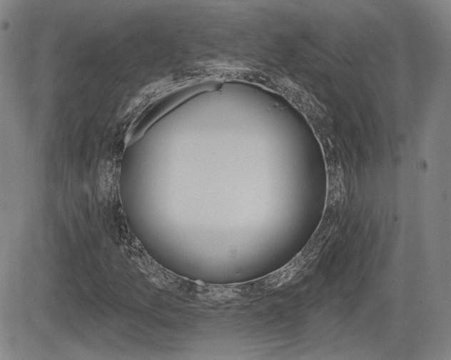 X0000085061157200703051025