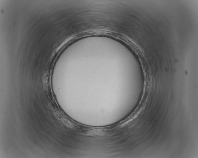 X0000085061162200703051025