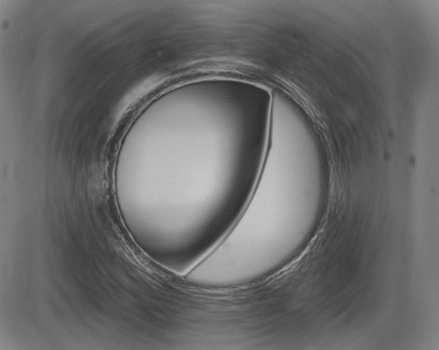 X0000085061164200703051025