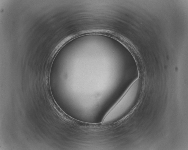 X0000085061177200703051025