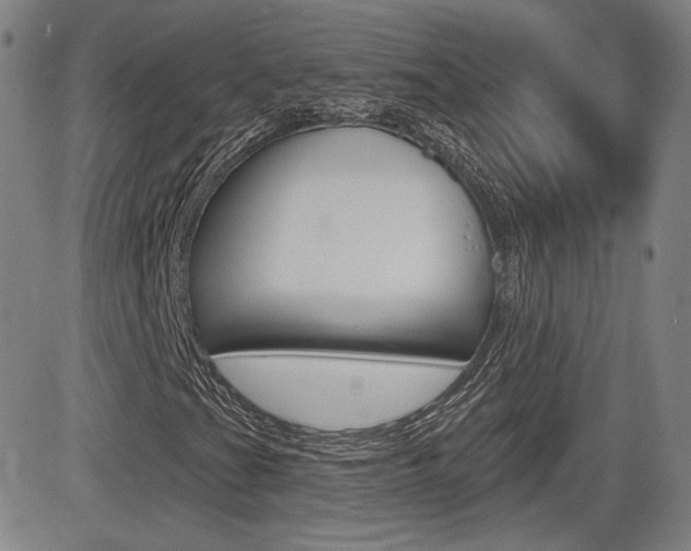X0000085061201200703051023