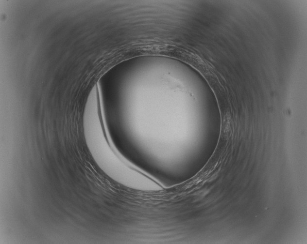 X0000085061202200703051023