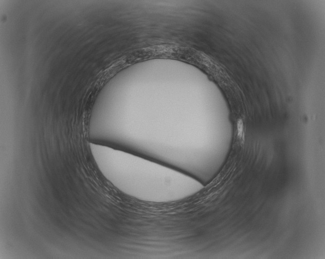 X0000085061203200703051023