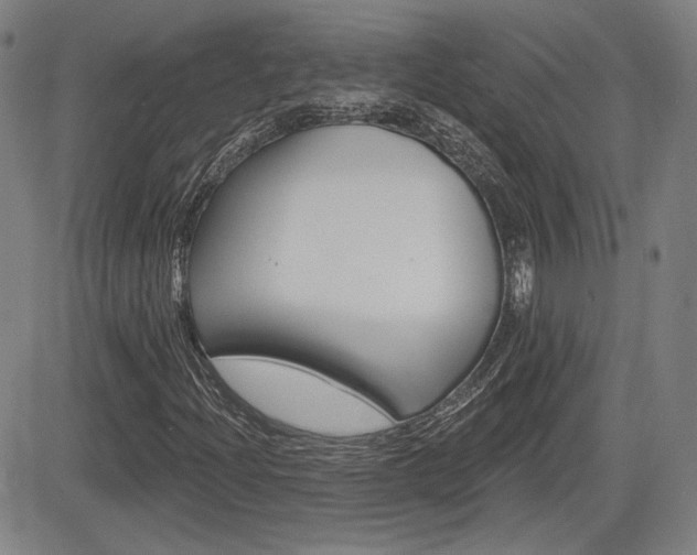 X0000085061204200703051023
