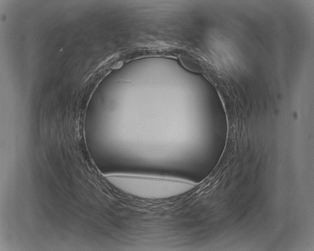 X0000085061205200703051023
