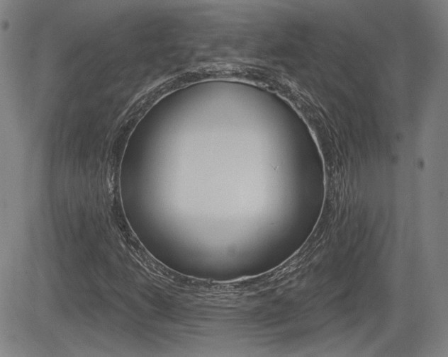 X0000085061206200703051023