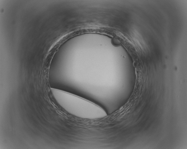 X0000085061208200703051024
