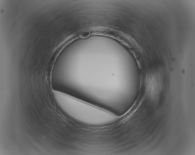 X0000085061209200703051024