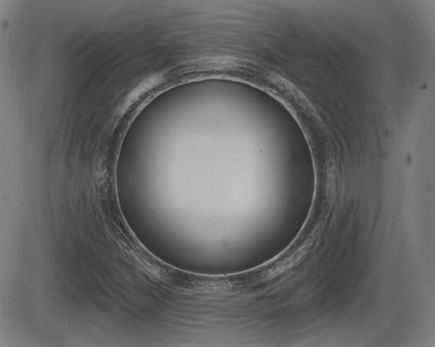 X0000085061210200703051024