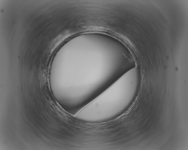 X0000085061212200703051024